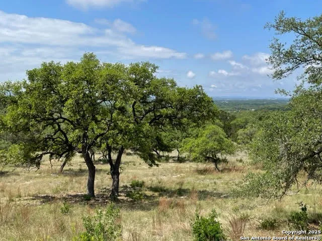 1074 Madrone Road Fischer, TX 78623